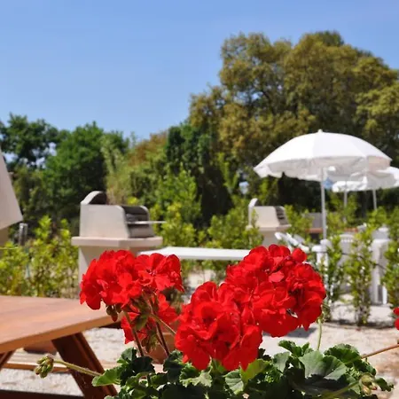 Casa Vacanze La Sainella 3* Bibbona