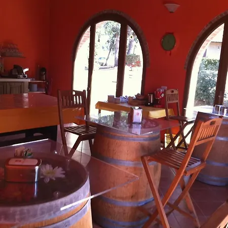 Casa Vacanze La Sainella Bibbona